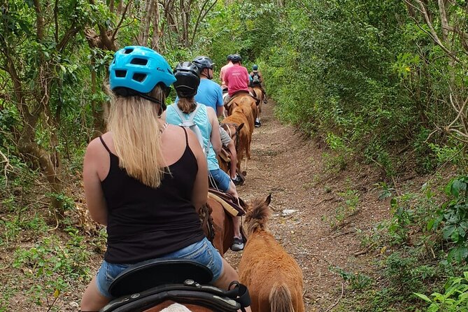 3 Hours Horseback Riding from Nature Trails to Sofa Stone - Key things I’d watch for on this Sofa Stone ride