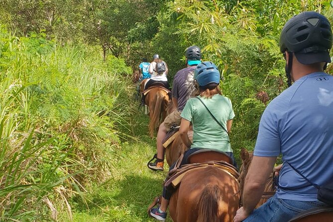 3 Hours Horseback Riding from Nature Trails to Sofa Stone - Trail highlights: what you’ll see besides your own horse’s ears