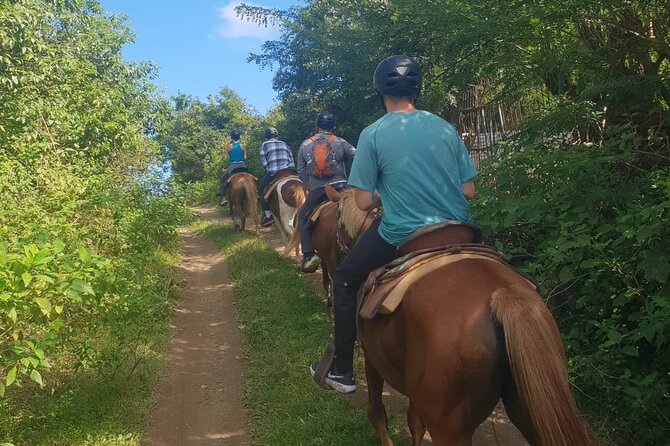3 Hours Horseback Riding from Nature Trails to Sofa Stone - The top-of-mountain photo break, plus Sofa Stone shots