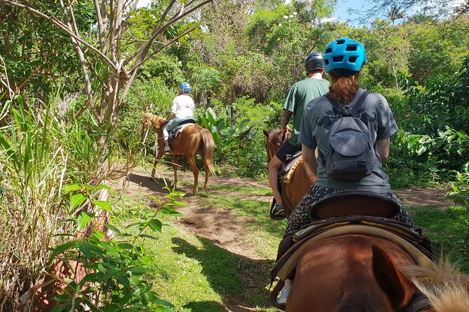 3 Hours Horseback Riding from Nature Trails to Sofa Stone - The steep bits, rain, and the real-world issues to plan for