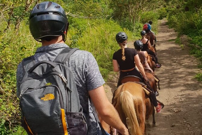 3 Hours Horseback Riding from Nature Trails to Sofa Stone - Price and value: does $97.50 make sense?