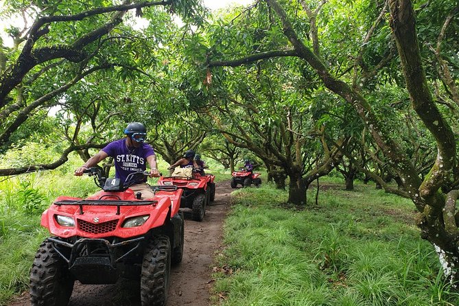 ATV Tour of St Kitts - Who Should Book This ATV Tour (And Who Should Skip It)