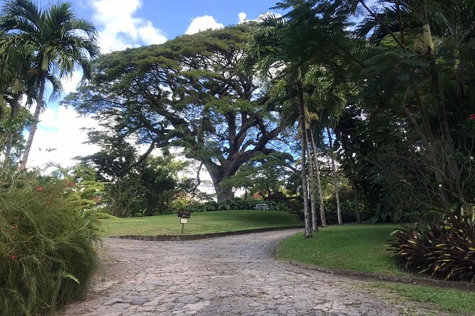 Basseterre Half Day Tour - Timothy Hill for panoramic sea views you can feel in your bones