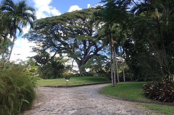 Basseterre Half Day Tour - Price and value: is $70 per person fair for what you get?