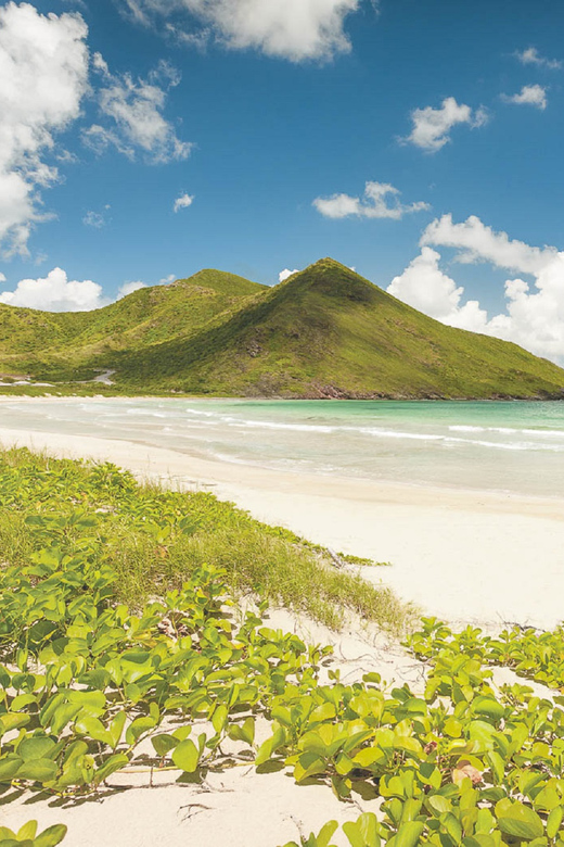 Basseterre: Highlights Capital and Beach Tour - Accessibility and Practical Comfort