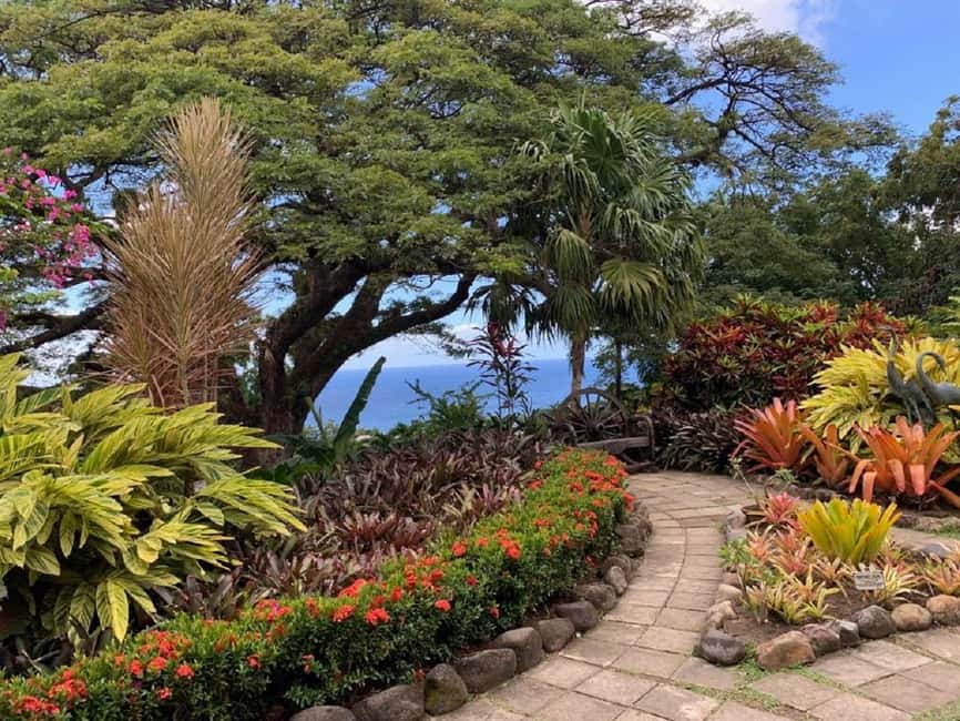 Basseterre: Plantation and Beach Extravaganza - Key Highlights You’ll Actually Feel