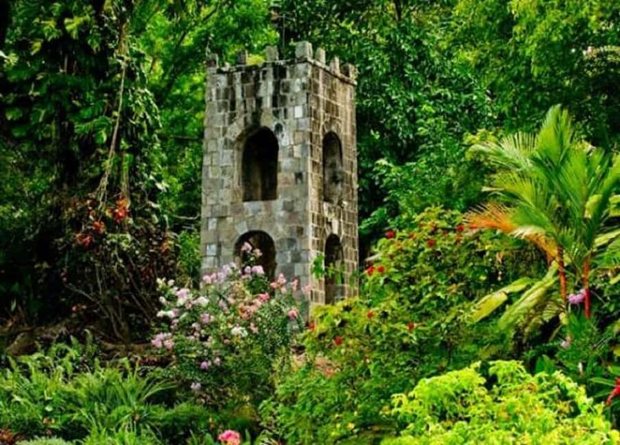 Basseterre: Plantation and Beach Extravaganza - Basseterre First, So You Understand What You’re Looking At