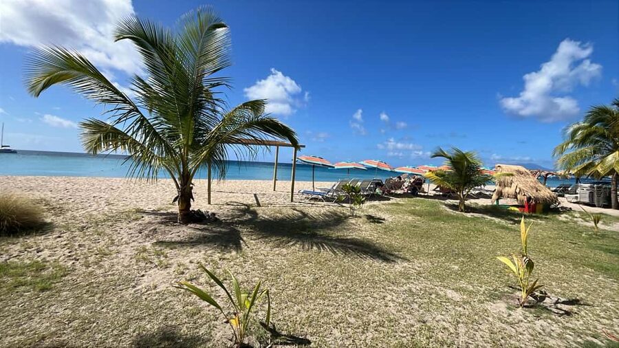 Basseterre: St. Kitts and Nevis Catamaran Tour with Lunch - Practical Packing: What to Bring for a Smooth Nevis Beach and Snorkel Day