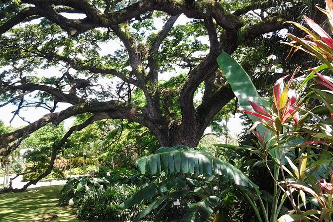 Best of St. Kitts Highlight Tour. - Key Things You’ll Notice on This Best of St Kitts Tour