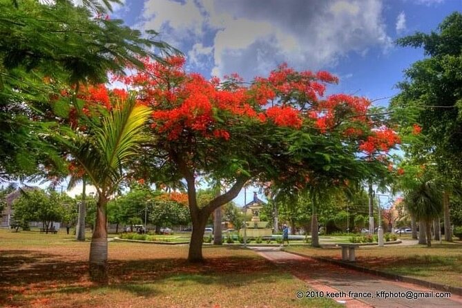 Best of St. Kitts Private Half Day Tour - Timothy Hill: quick Nevis views and a chance to pick up souvenirs