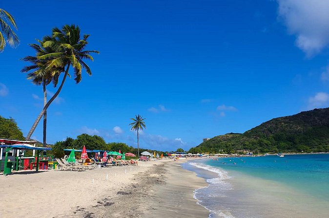Capital City Tour and Beach Splash - A half-day that starts with views and ends with beach time