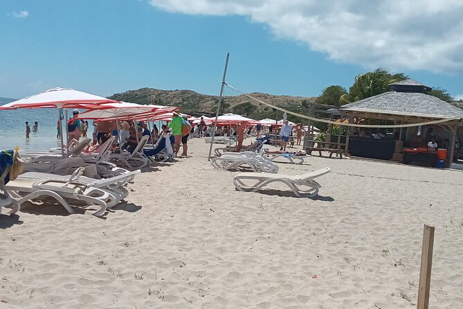 Cockleshell beach excursion - Key things to know before you go