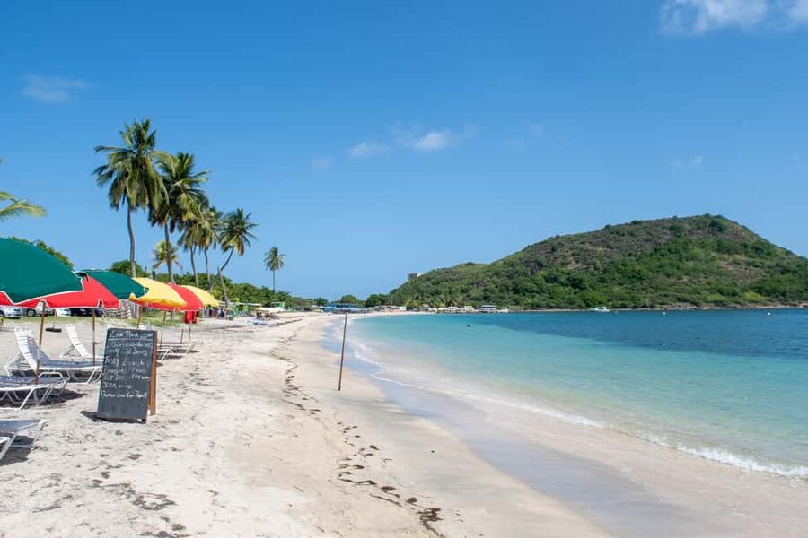 Cockleshell: Beach Excursion, Snorkeling, and Scenic Views - Green monkeys at St Kitts sign stops, and why it adds real charm