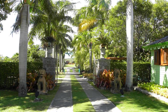 Discover Nevis, Island Tour (Private) - Charlestown Museum of Nevis History, Alexander Hamilton’s Birthplace