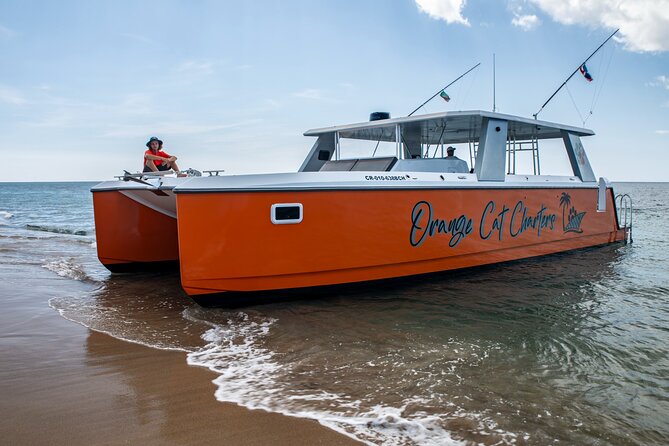 Full Day Luxury Snorkel Charter With Lunch (Minimum 10 Guests) - Orange Cat full-day luxury snorkel on St Kitts: the real deal