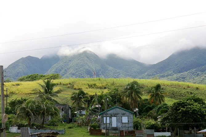 Full Island Panoramic Tour of St Kitts - Wingfield-Phillips Rain Forest Nature Trail Near Wingfield Estate