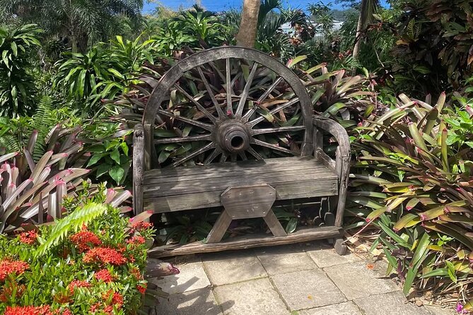 Half-Day Island Adventure of St Kitts - What’s Included in the Price, and What You Should Budget Extra