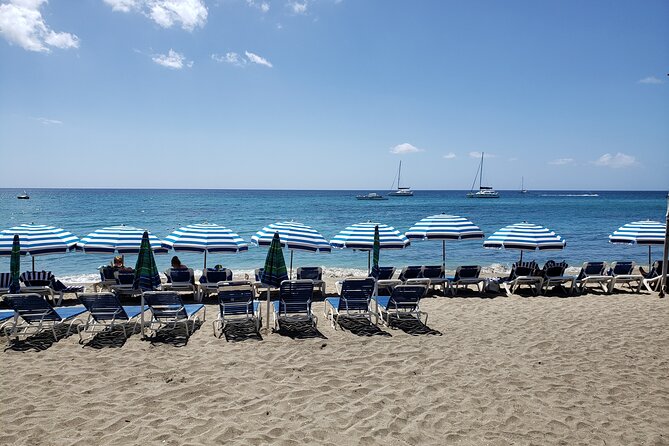 Half Day St. Kitts Party Bus City Excursion and Beach - Key highlights worth your time