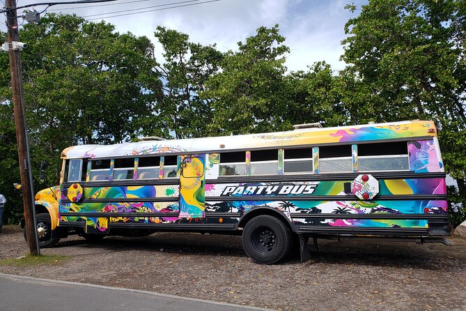 Half Day St. Kitts Party Bus City Excursion and Beach - On-board fun: music, singing, and the feeling of a shared day
