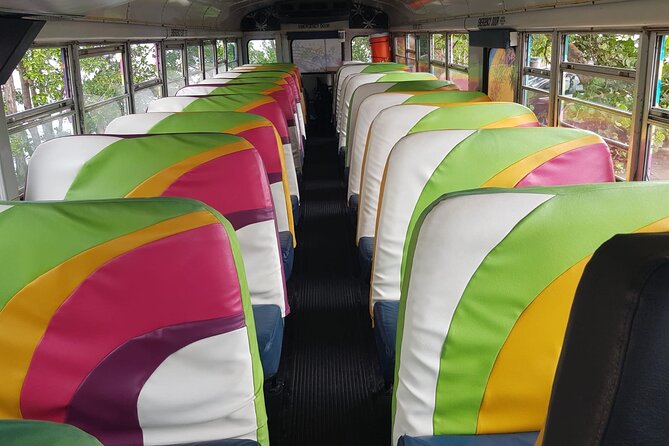 Half Day St. Kitts Party Bus City Excursion and Beach - Included drinks: a simple open bar plan