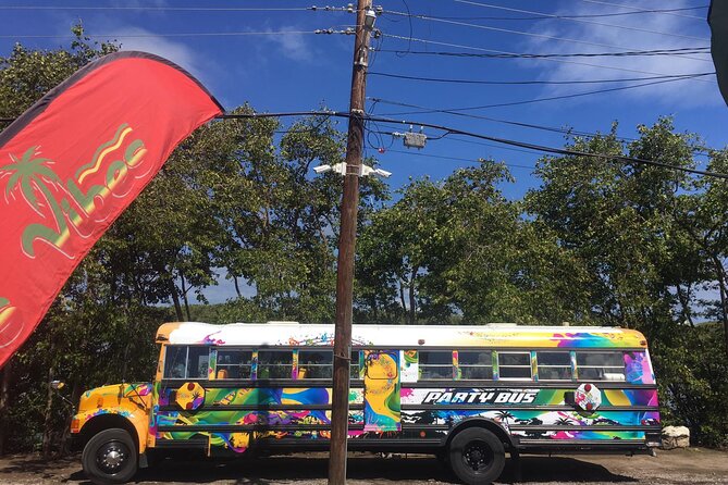 Half Day St. Kitts Party Bus City Excursion and Beach - Pickup timing on cruise days: how to avoid the usual headache
