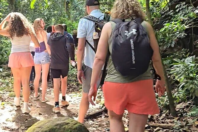 Half-Day St. Kitts Rainforest Hike - Key Things to Know Before You Go
