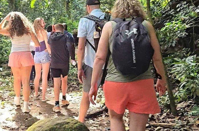 Half-Day St. Kitts Rainforest Hike - Who This Hike Suits Best, and Who Might Think Twice