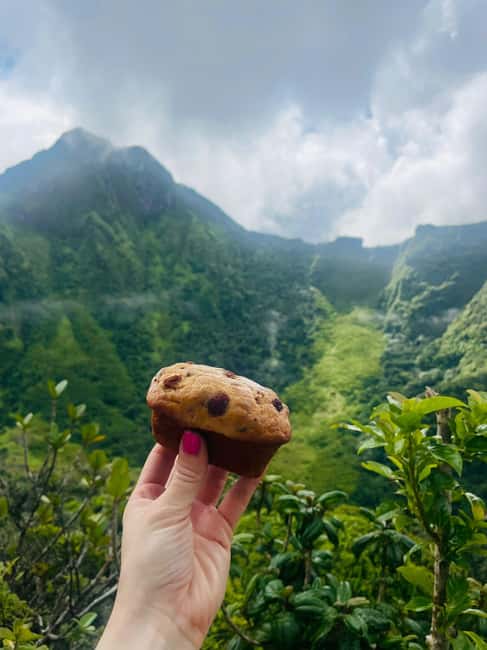 Hike St. Kitts: Highest peak Mount Liamuiga Volcano - Price and Value: Is $109 Worth One Strenuous Day?