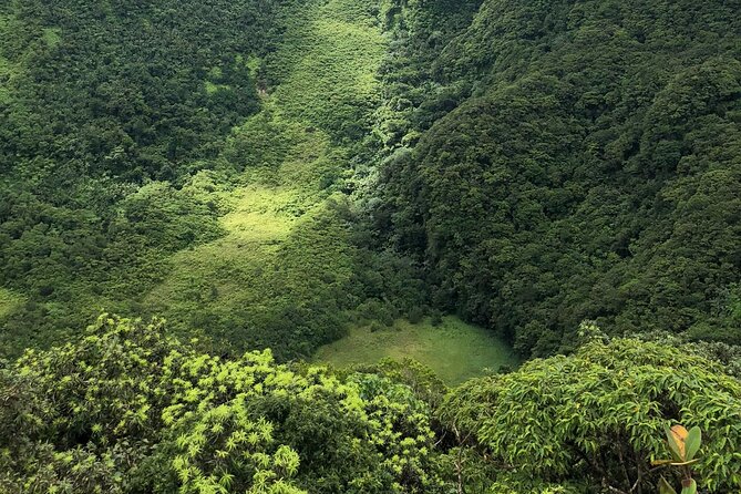 Hike St. Kitts: Highest peak Mount Liamuiga Volcano - The Guides: Local Naturalists Who Actually Teach