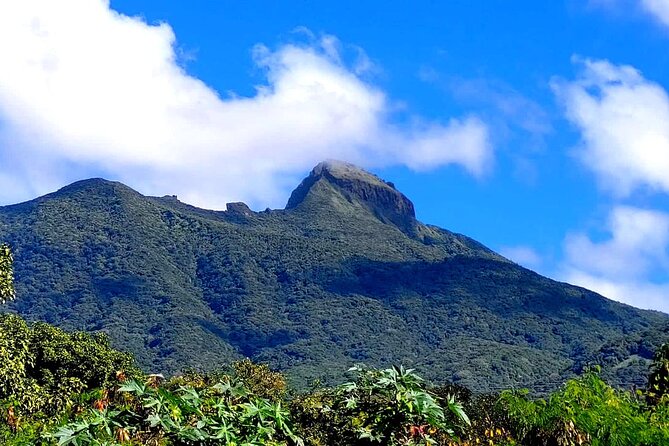 Hike St. Kitts: Highest peak Mount Liamuiga Volcano - Photo Stops and Crater Views on the Upper Reaches
