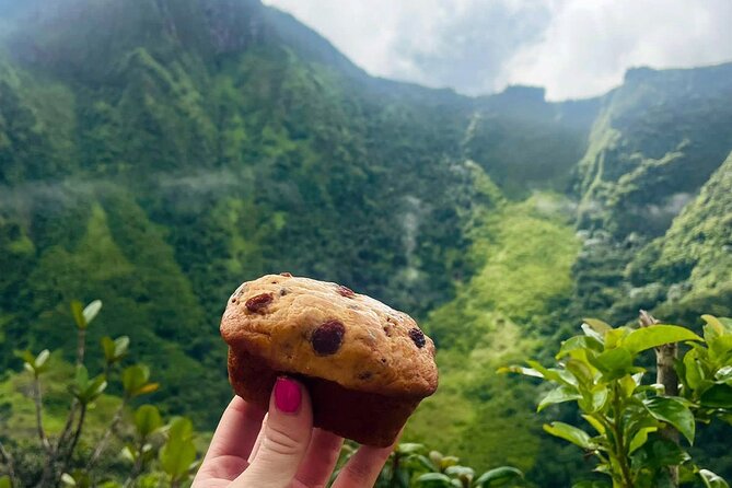 Hike St. Kitts: Highest peak Mount Liamuiga Volcano - Former Sugar Fields, Farms, and a Botanical Garden Reset
