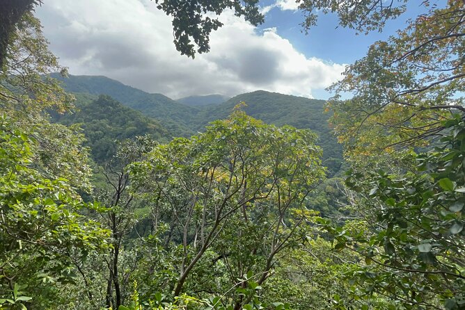Hike St Kitts: Wingfield Rainforest and Romney Experience - Key highlights at a glance