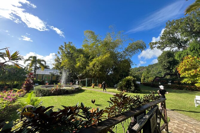 Hike St Kitts: Wingfield Rainforest and Romney Experience - Price and value: is $85 a fair deal?