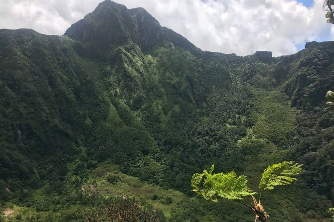 Hiking Mount Liamuiga Volcano in St Kitts - Mount Liamuiga: what makes this hike worth your time in St Kitts