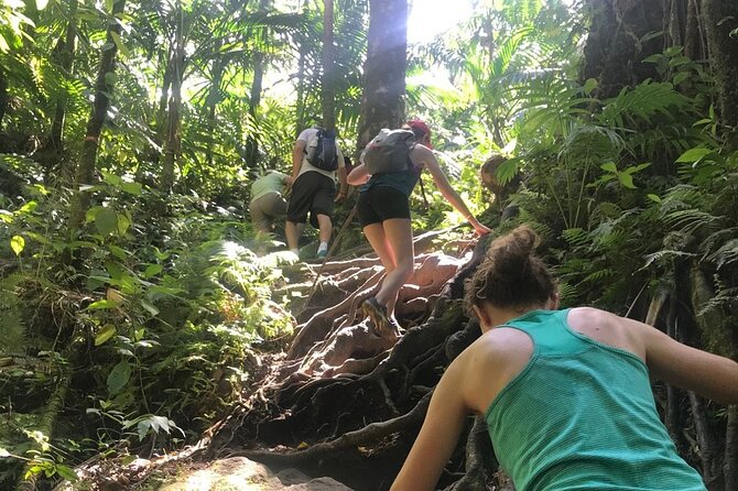Hiking Mount Liamuiga Volcano in St Kitts - Snacks and drinks included: what you actually get, and how it helps