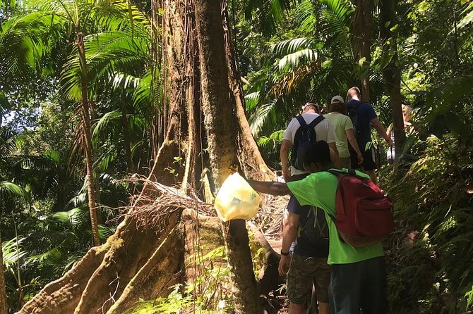 Hiking Mount Liamuiga Volcano in St Kitts - Open-air vehicle return and the “cool down” moment