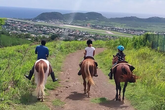 Horseback Riding, A Scenic Escape - St Kitts on horseback, from fruit trees to Basseterre views