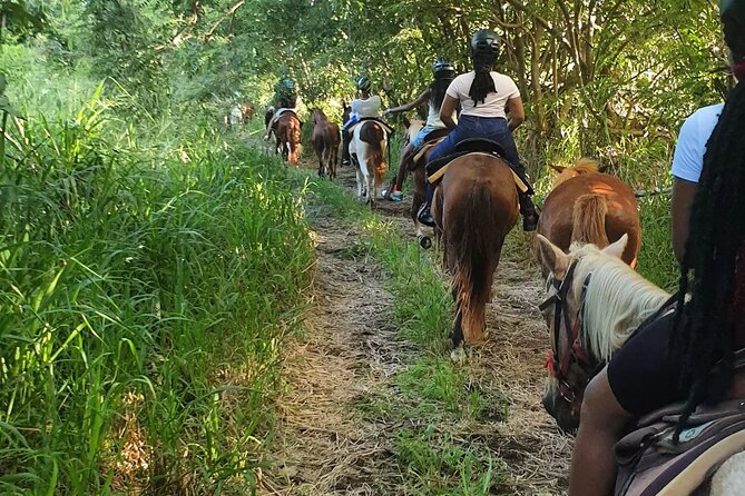 Horseback Riding, A Scenic Escape - Sugar mill remnants from the saddle: colonial history you can actually see