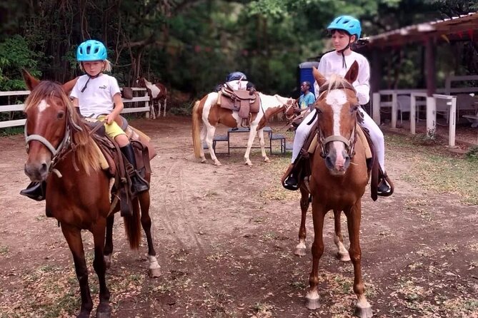 Horseback Riding, A Scenic Escape - The viewpoint break: dismount, walk for photos, then keep riding