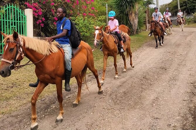 Horseback Riding, A Scenic Escape - Local monkeys, big views, and the fun of a gallop