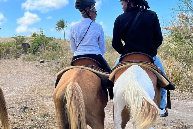 Horseback Riding, A Scenic Escape - Before you ride: how the stable orientation sets you up for comfort