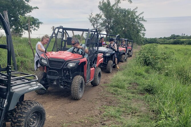 Jungle bikes Dune Buggy - What You Might See: Plants, Wildlife, and Trail Details