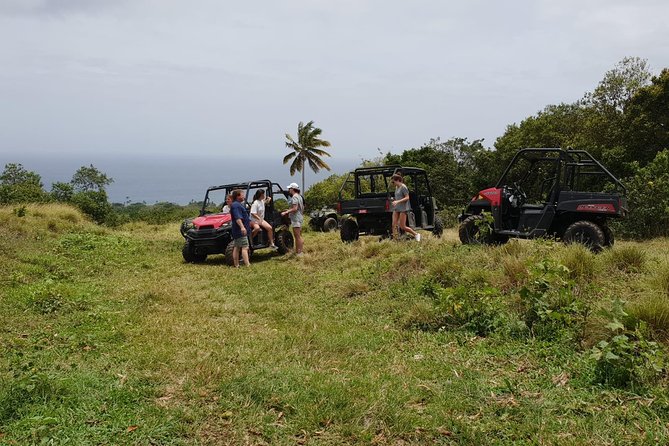 Jungle Bikes Dune Buggy & Beach Tours in St Kitts - Why a dune buggy route beats the usual tour on St Kitts