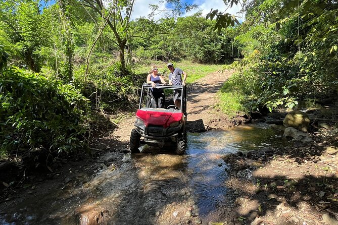 Jungle bikes Dune Buggy - The Start-Up Moment: Rules, Helmets, and Learning the Buggy Fast