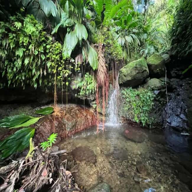 Lawyer Stephen Hike with Waterfall and Cave Hike - Why the James Stephen hike feels different on Nevis