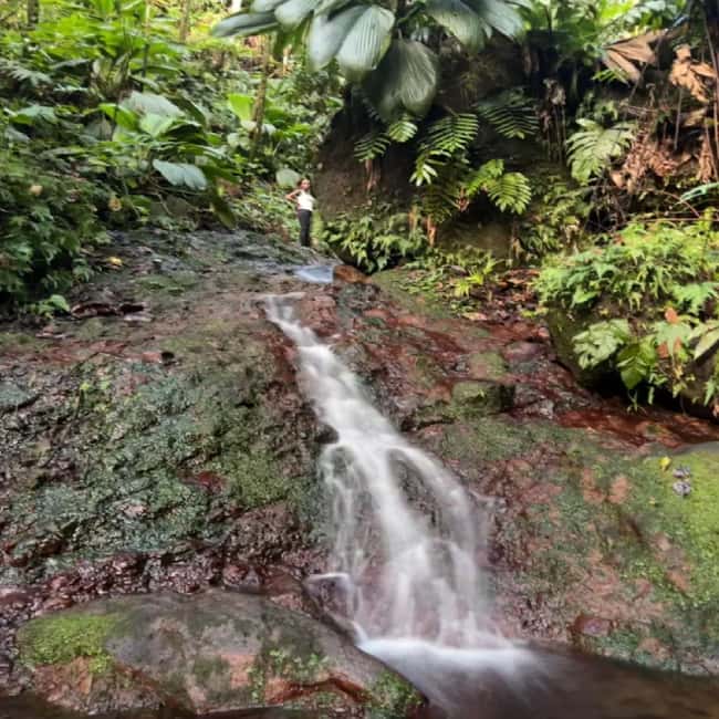 Lawyer Stephen Hike with Waterfall and Cave Hike - The cave stop: more than a photo moment
