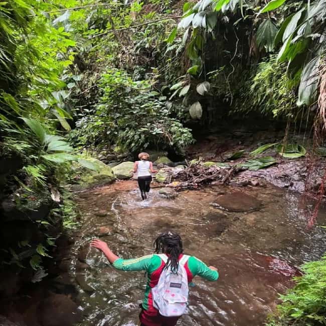 Lawyer Stephen Hike with Waterfall and Cave Hike - What your guide adds: history, pacing, and local context