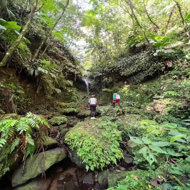 Lawyer Stephen Hike with Waterfall and Cave Hike - Your route: Olivees Mountain, rainforest trail, and two waterfall payoffs
