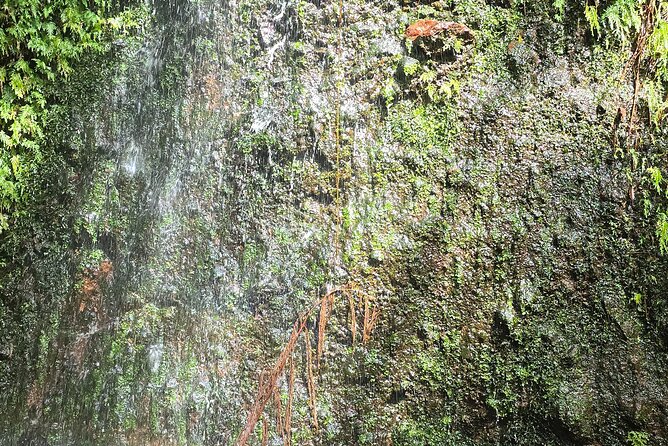 Lawyer Stephen’s Cave & Waterfalls Hike - Two waterfalls, one clear choice: turn back or go advanced