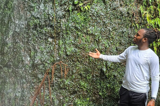 Lawyer Stephen’s Cave & Waterfalls Hike - Guides, first aid, and a pace that keeps people on their feet